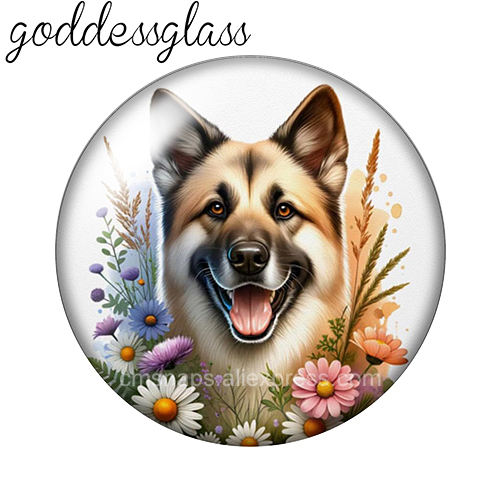 Cuccioli di cane adorabili tra - Vase Decor recensione e prezzo