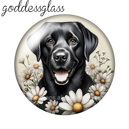 Cuccioli di cane adorabili tra - Vase Decor recensione e prezzo