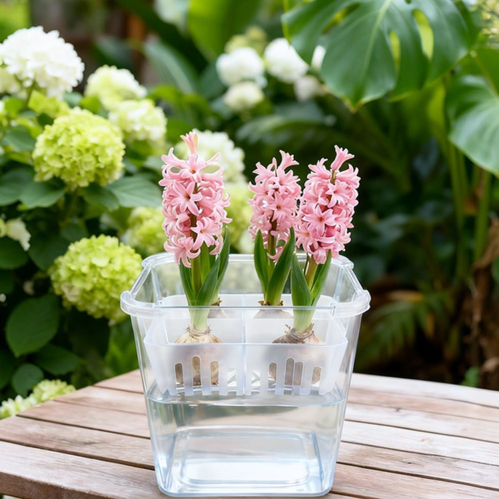 Vaso idroponico per tulipani e - Vase Decor recensione e prezzo