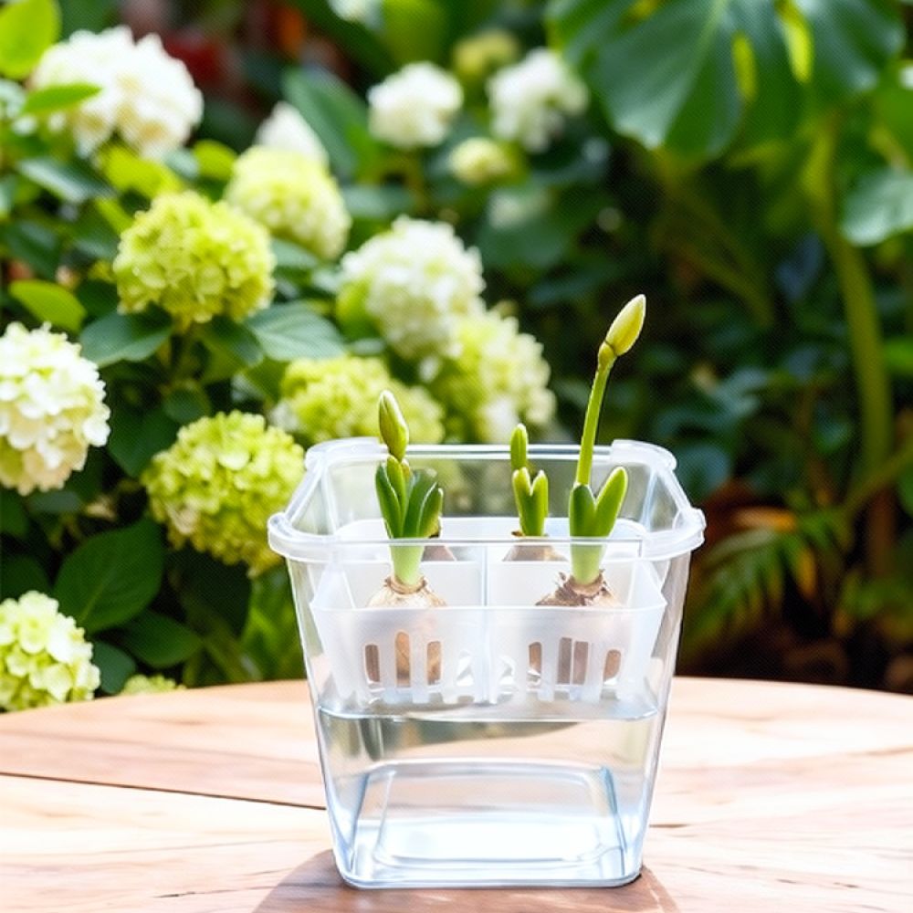 Vaso idroponico per tulipani e - Vase Decor recensione e prezzo