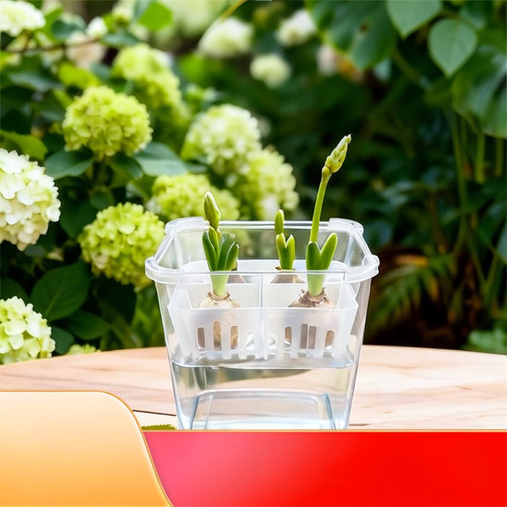 Vaso idroponico per tulipani e - Vase Decor recensione e prezzo