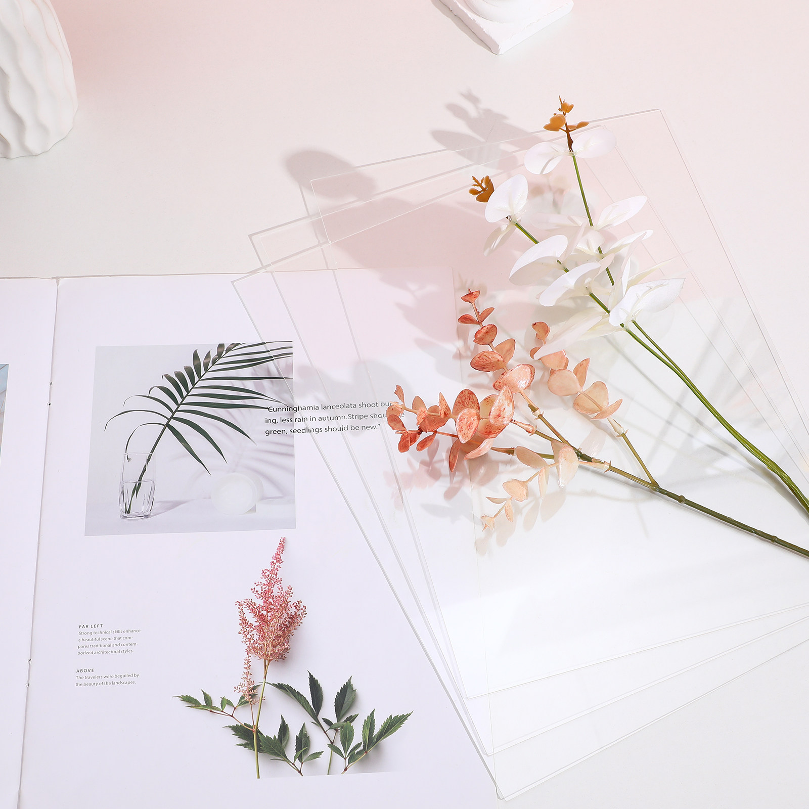 10 fogli di plastica trasparen - Picture Frame recensione e prezzo